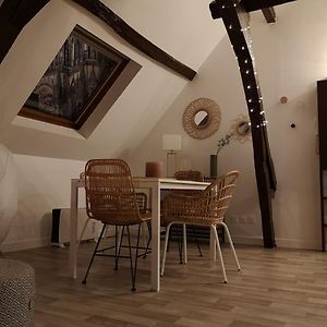Logement Cosy Renove Au Pied De La Cathedrale Avec Climatisation